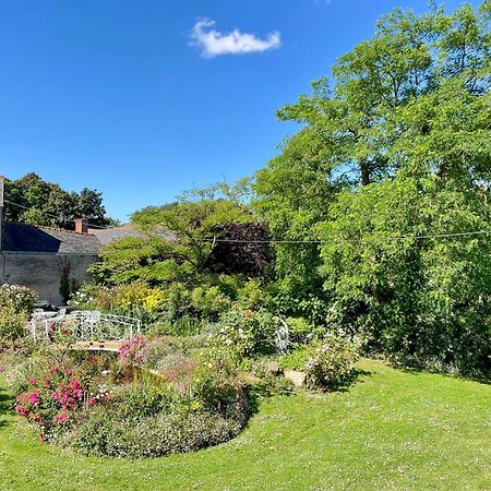 Nueil-sur-Layon Chambre De Charme Dans Un Jardin De 1500M2 المظهر الخارجي الصورة