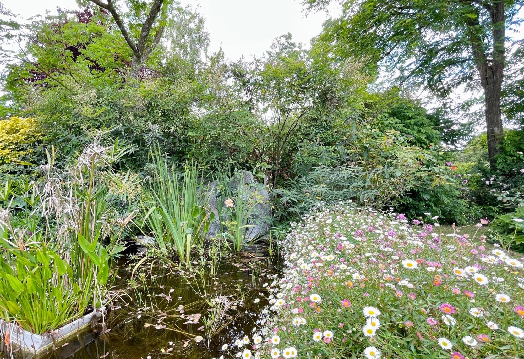 Nueil-sur-Layon Chambre De Charme Dans Un Jardin De 1500M2 المظهر الخارجي الصورة